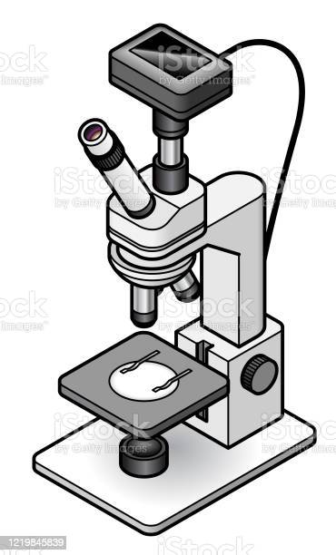 Detail Microscope Download Nomer 39