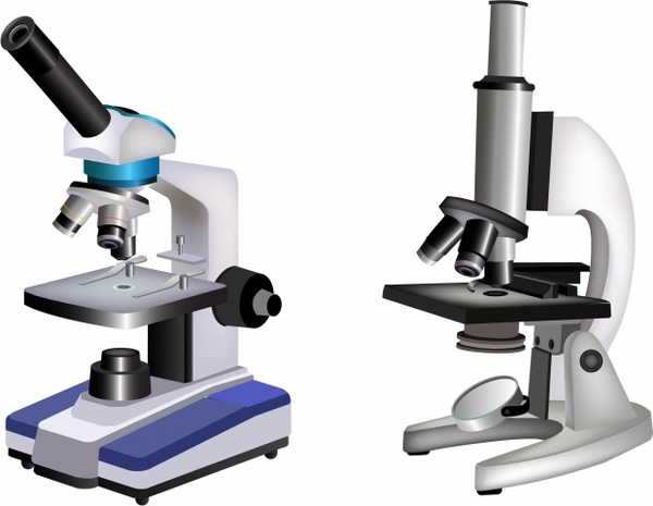 Detail Microscope Download Nomer 5