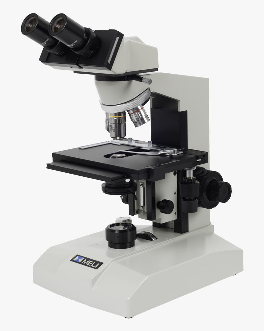 Detail Microscope Images Hd Nomer 11
