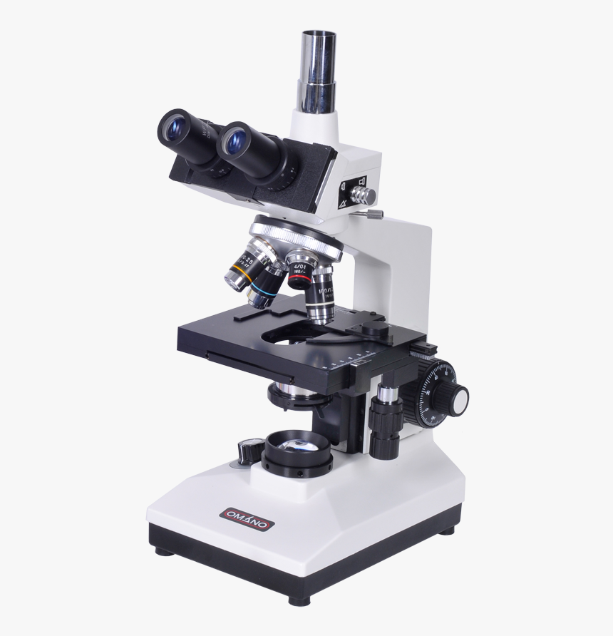 Detail Microscope Images Hd Nomer 12