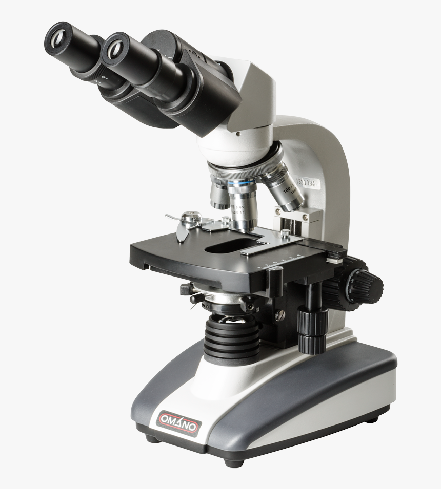 Detail Microscope Images Hd Nomer 22