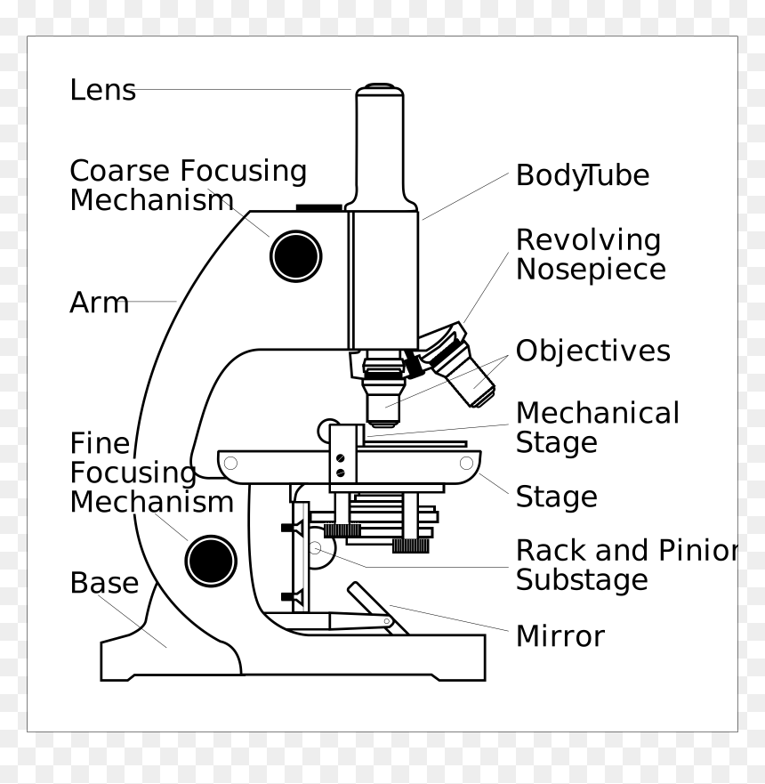 Detail Microscope Images Hd Nomer 36