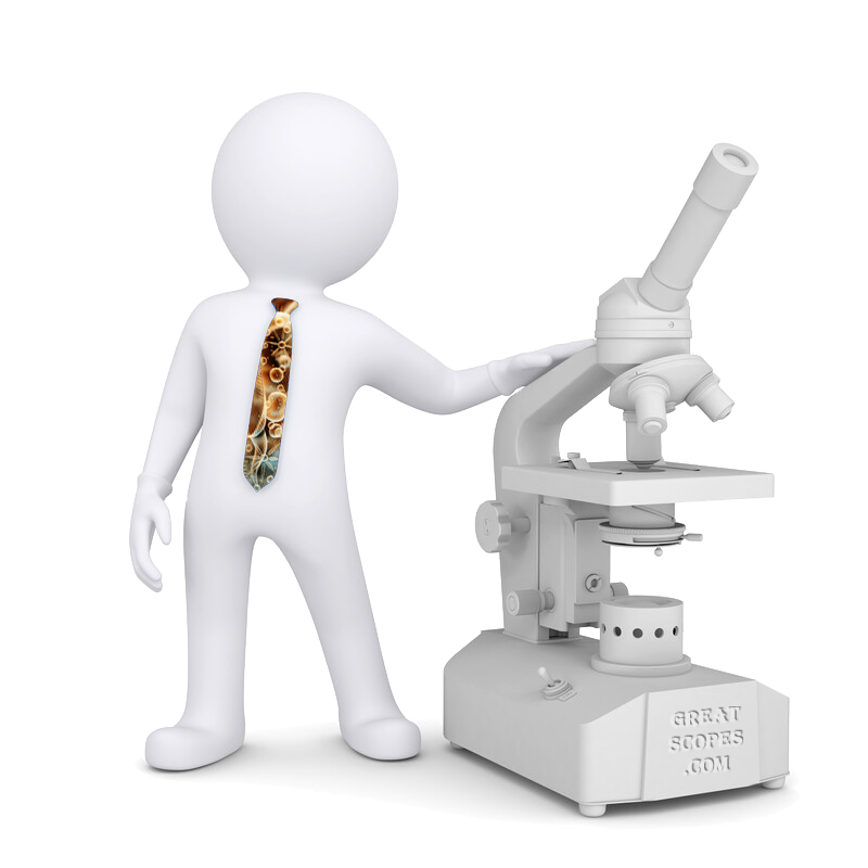 Detail Microscope Pictures Nomer 18