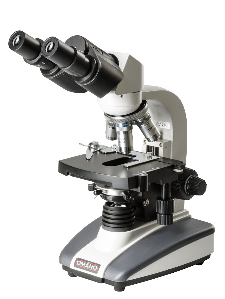 Detail Microscope Pictures Nomer 26