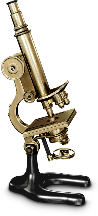 Detail Microscope Pictures Nomer 57
