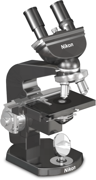 Detail Microscope Pictures Nomer 58