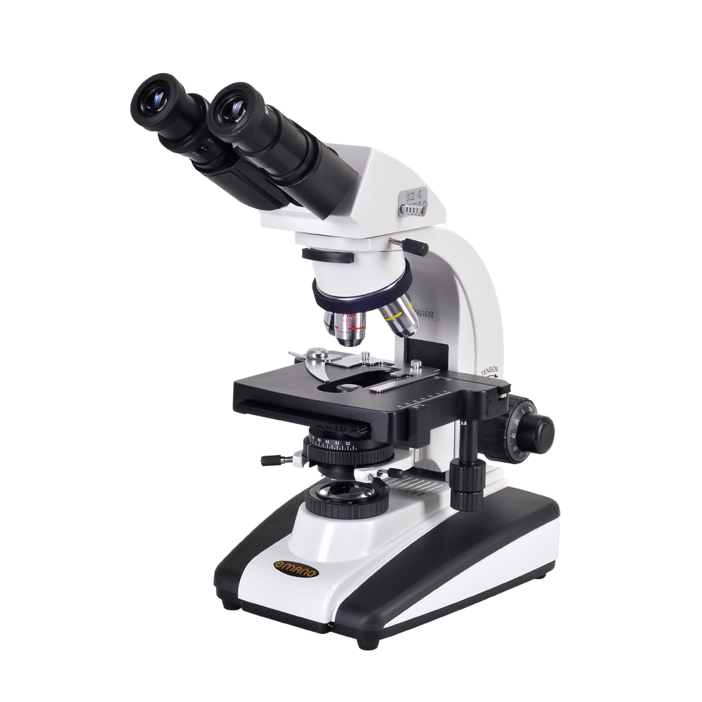 Detail Microscope Pictures Nomer 8