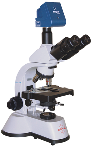 Detail Microscope Png Nomer 20