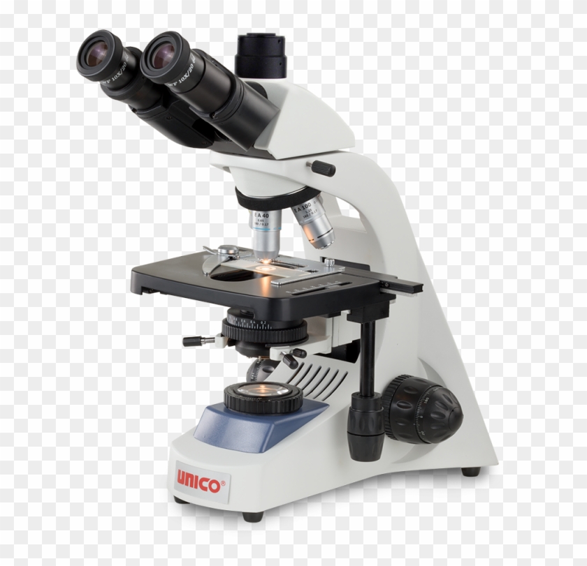 Detail Microscope Png Nomer 29