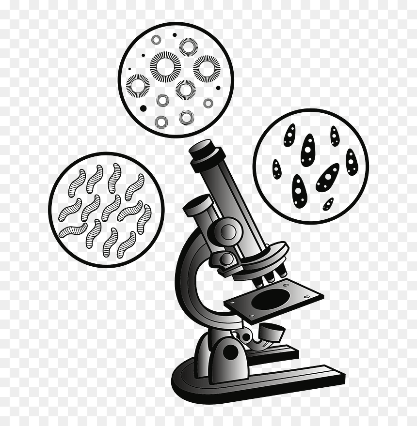 Detail Microscope Png Nomer 44