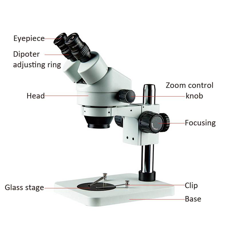 Detail Microscope Rpg Pdf Download Nomer 9