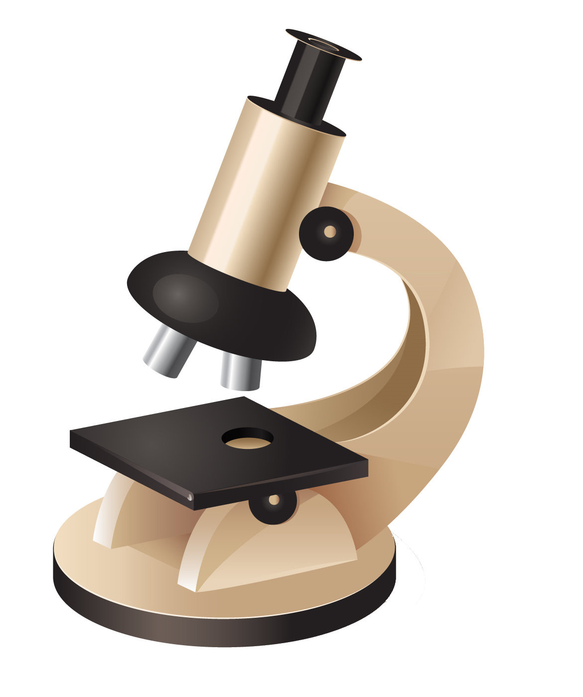 Detail Microscope Transparent Background Nomer 3