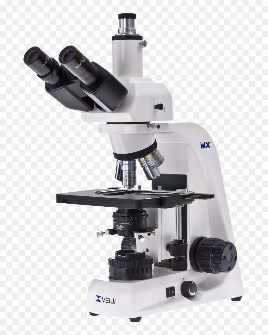 Detail Microscope Transparent Background Nomer 29