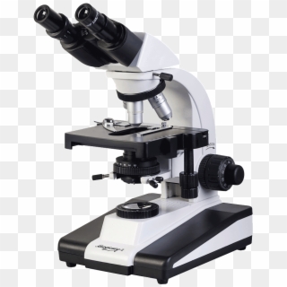 Detail Microscope Transparent Background Nomer 37