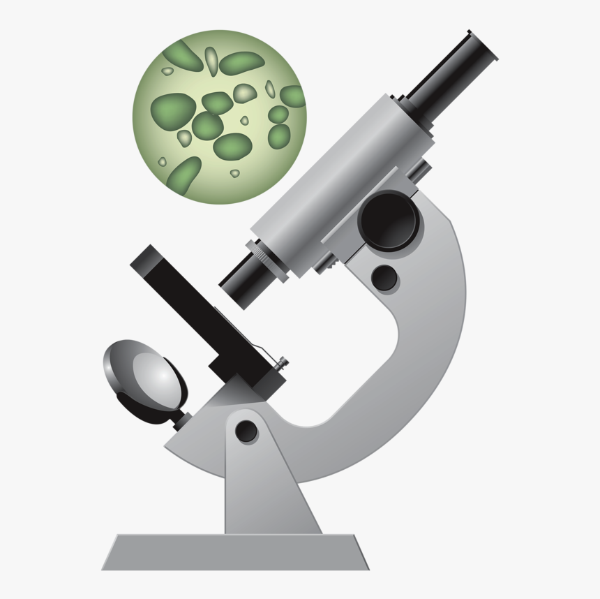 Detail Microscope Transparent Background Nomer 57