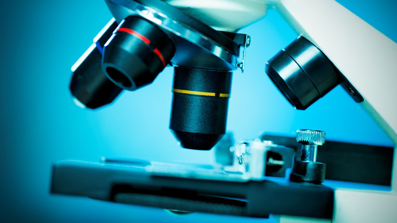 Detail Microscope Wallpaper Nomer 11