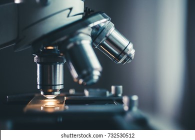 Detail Microscope Wallpaper Nomer 12