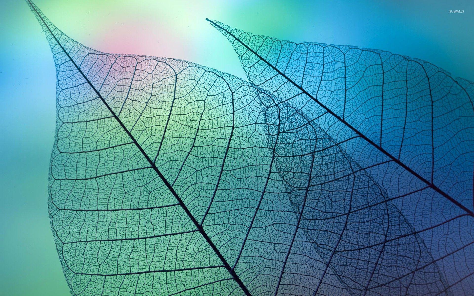 Detail Microscopy Wallpaper Nomer 4