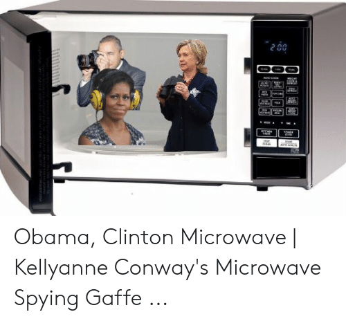 Detail Microwave Spying Meme Nomer 18