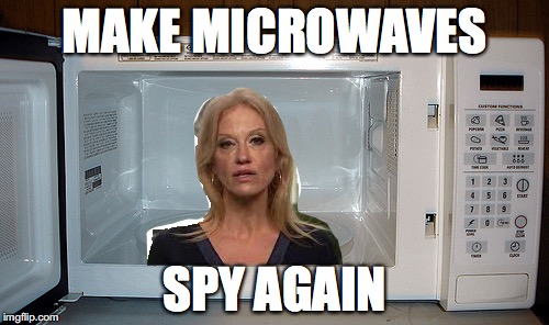 Detail Microwave Spying Meme Nomer 9