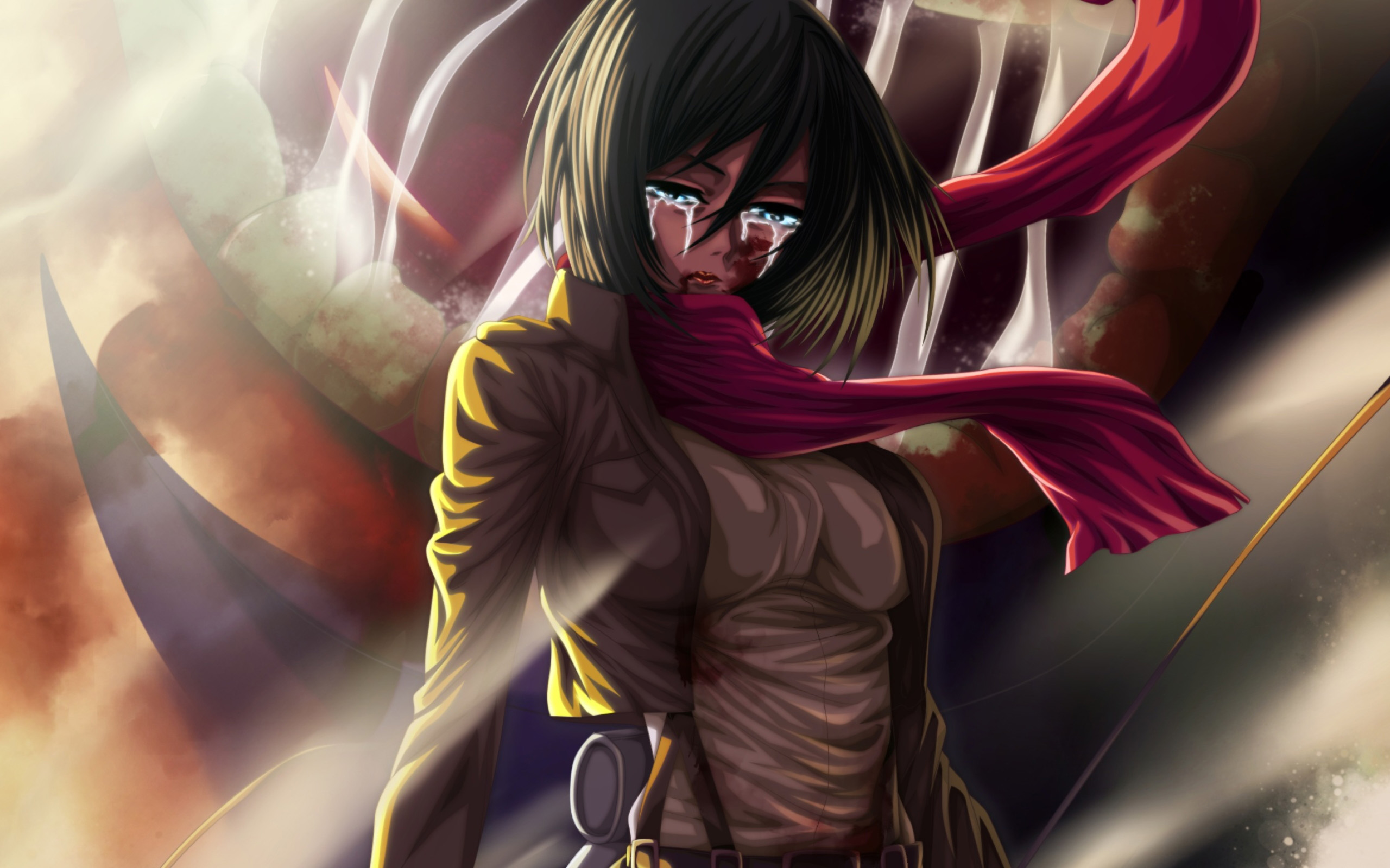 Detail Mikasa Wallpaper Hd Nomer 42