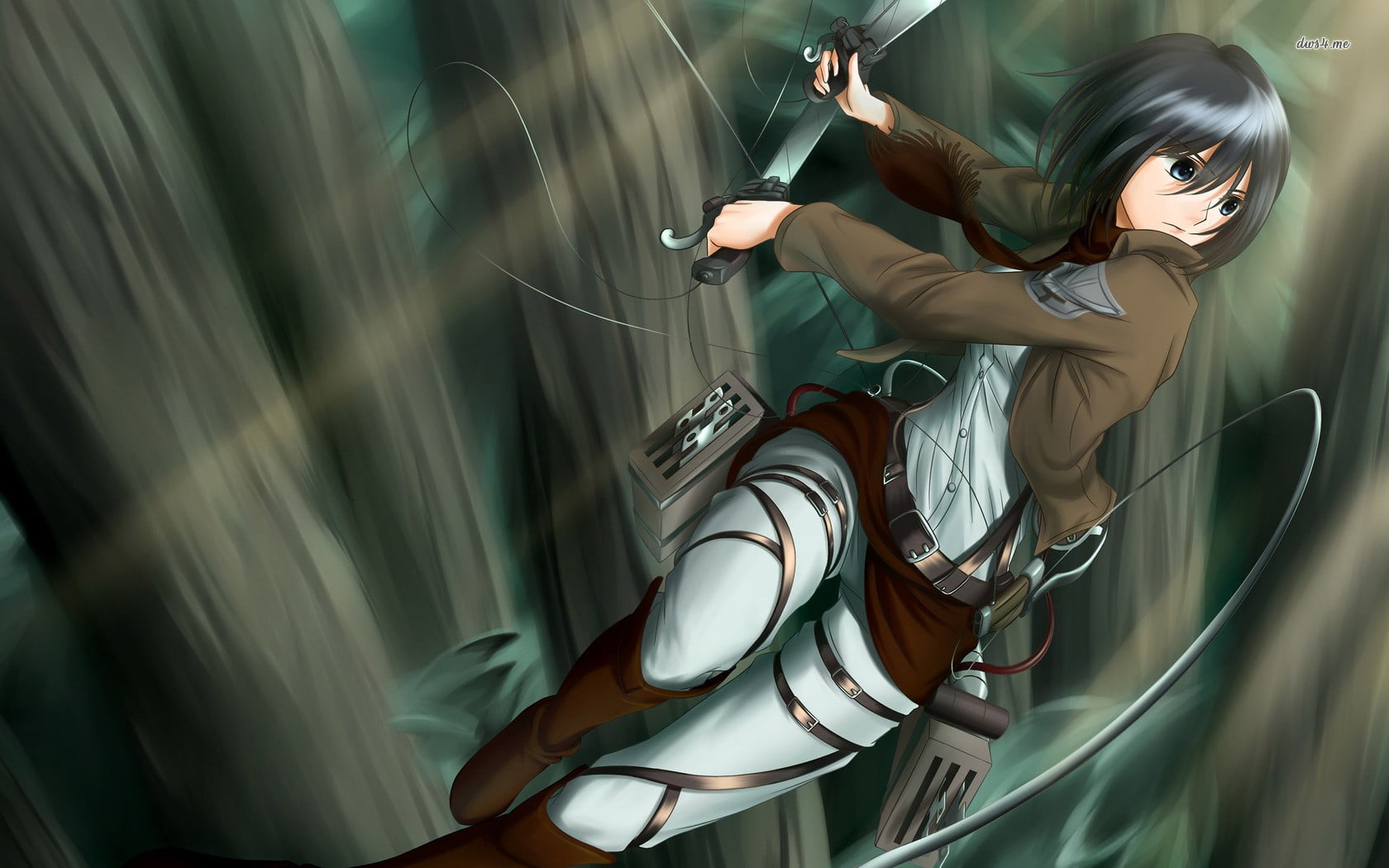 Detail Mikasa Wallpaper Hd Nomer 57