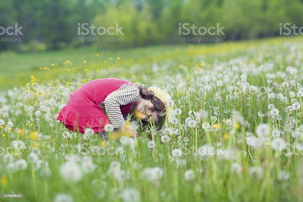 Detail Ladang Dandelion Nomer 4