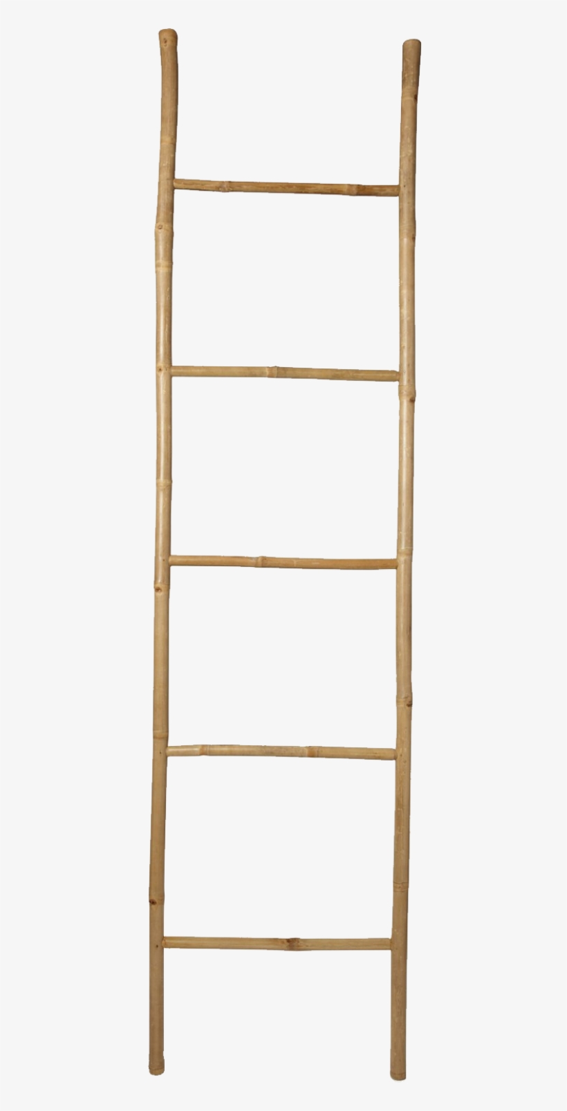 Detail Ladder No Background Nomer 55