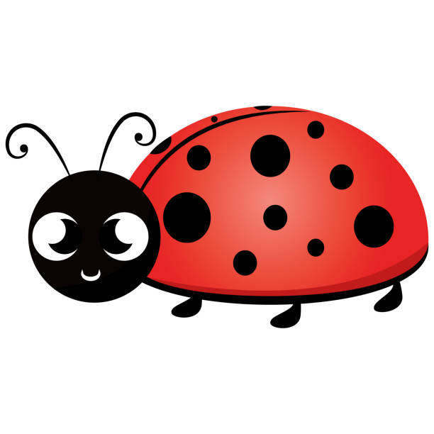 Detail Lady Bug Clip Art Nomer 17