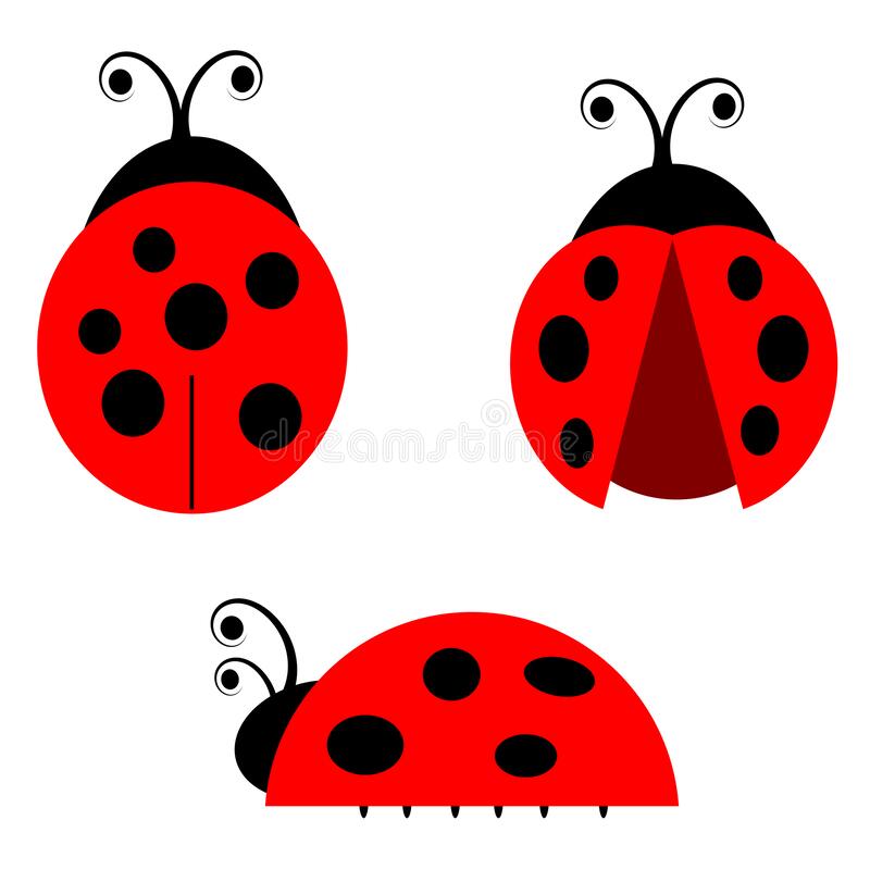 Detail Lady Bug Clip Art Nomer 43