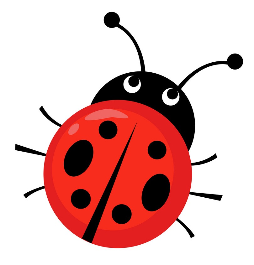 Detail Lady Bugclipart Nomer 3