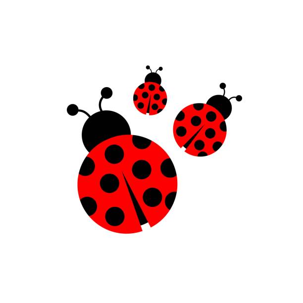 Detail Lady Bugclipart Nomer 5