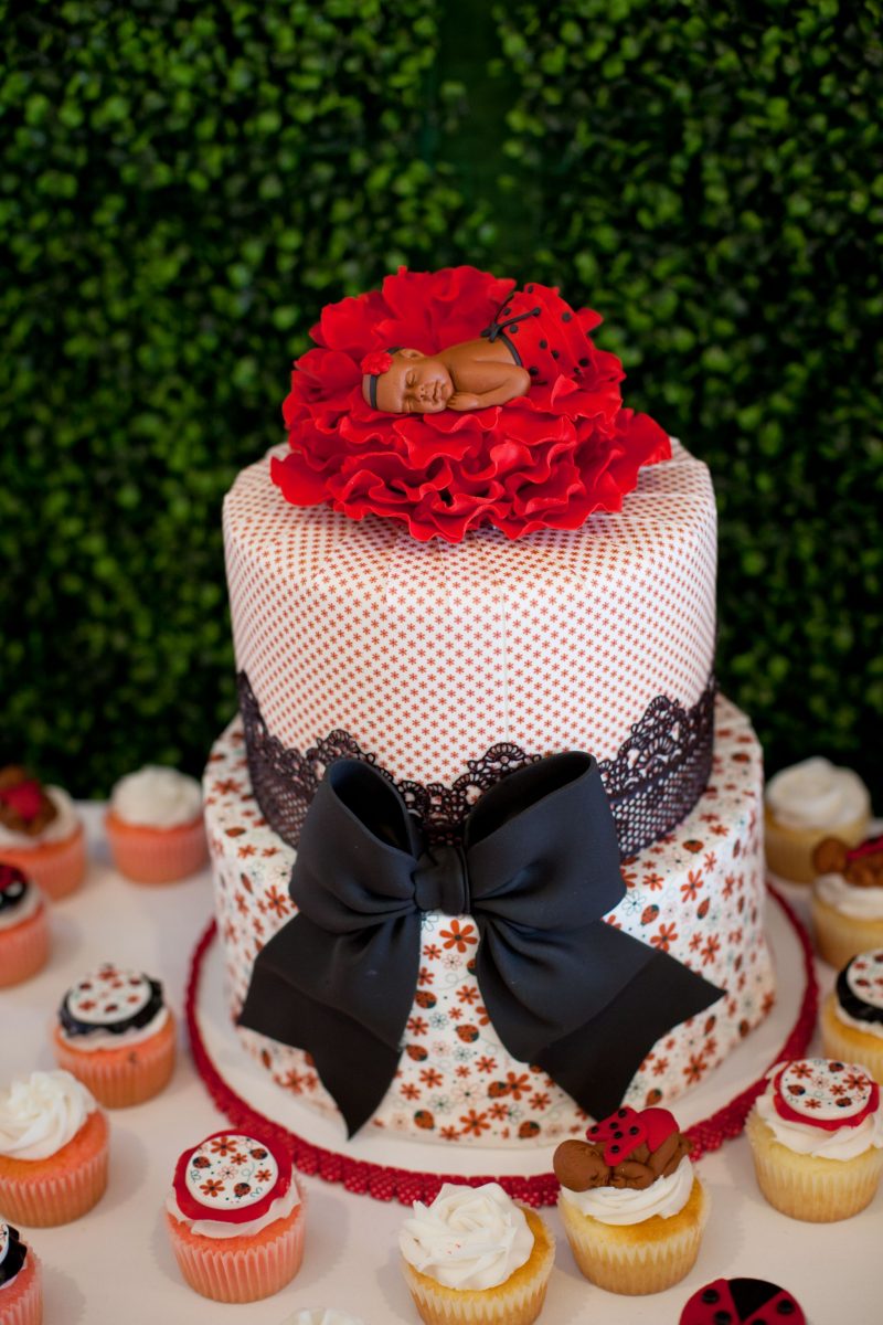 Detail Ladybug Baby Shower Cakes Pictures Nomer 26