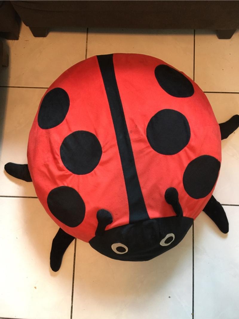 Detail Ladybug Bean Bag Nomer 47