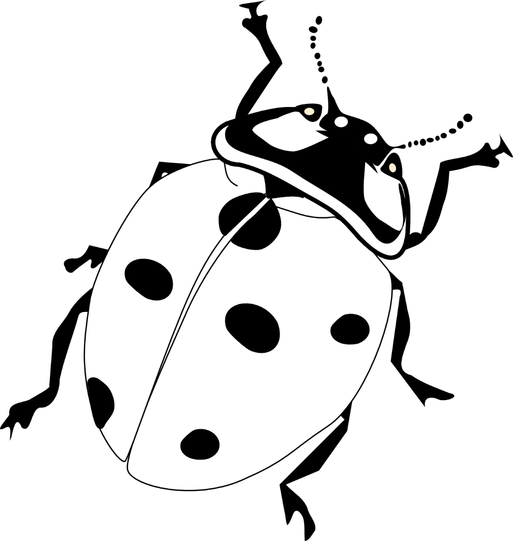 Detail Ladybug Black And White Clipart Nomer 10