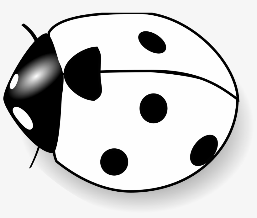 Detail Ladybug Black And White Clipart Nomer 12