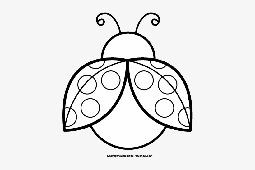 Detail Ladybug Black And White Clipart Nomer 17