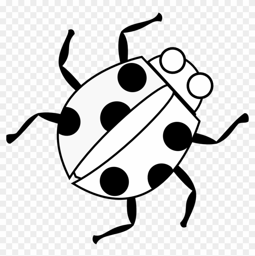 Detail Ladybug Black And White Clipart Nomer 21