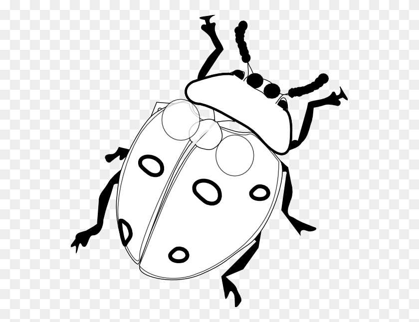 Detail Ladybug Black And White Clipart Nomer 38