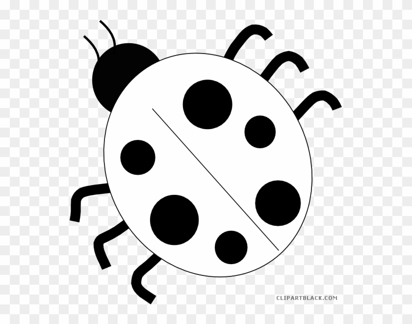 Detail Ladybug Black And White Clipart Nomer 5