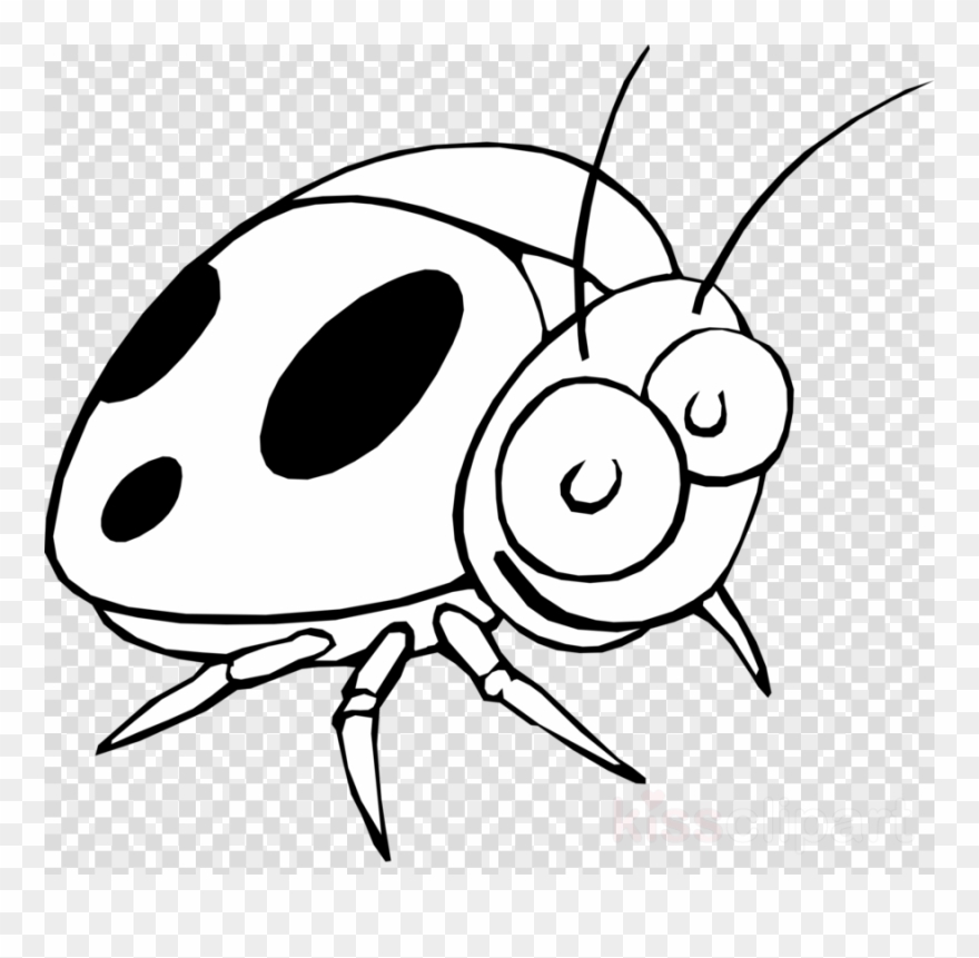 Download Ladybug Black And White Clipart Nomer 40