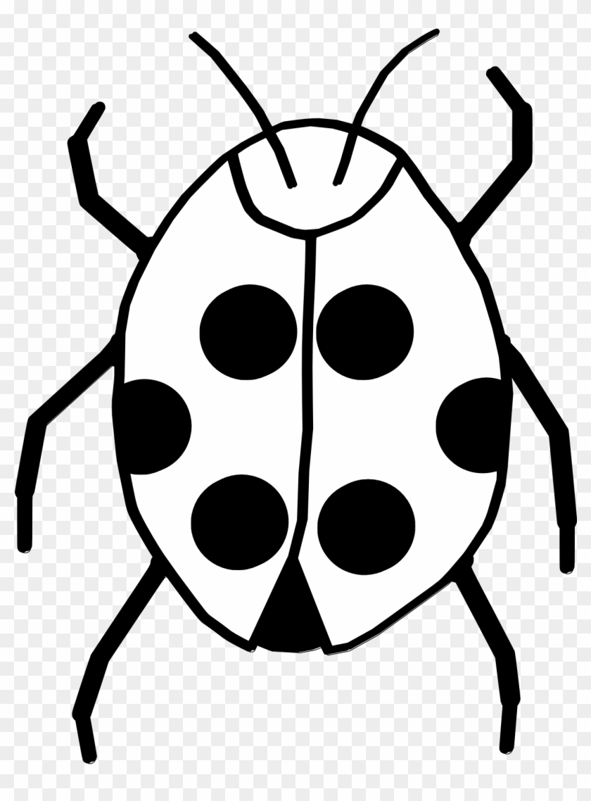 Detail Ladybug Black And White Clipart Nomer 41