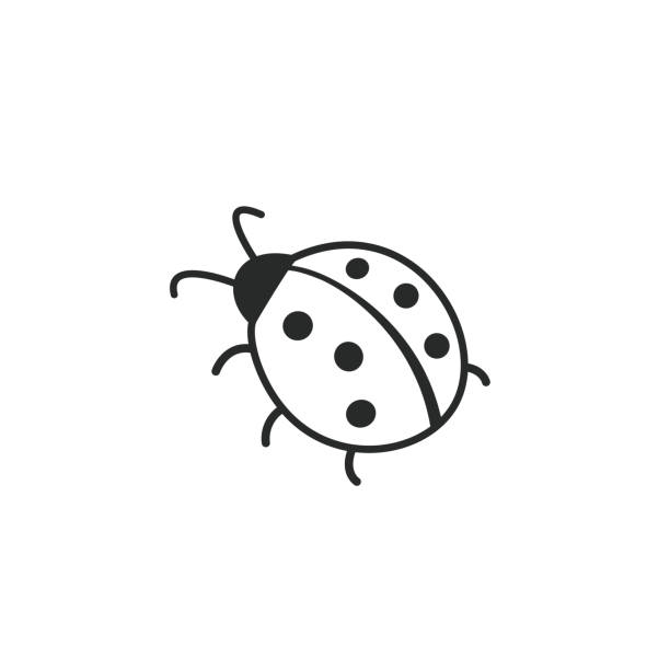 Detail Ladybug Black And White Clipart Nomer 46