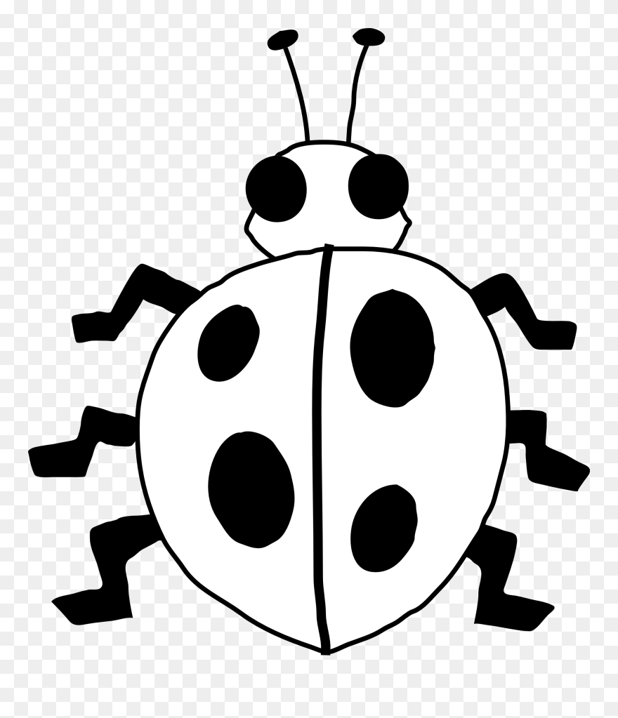 Detail Ladybug Black And White Clipart Nomer 8