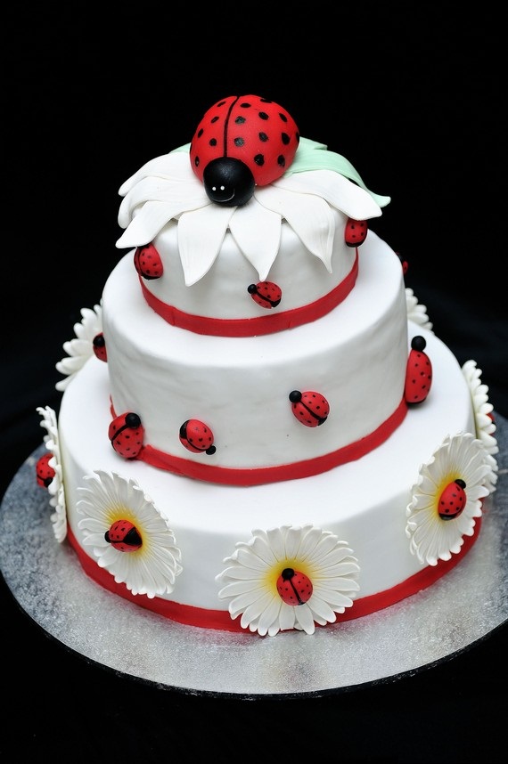 Detail Ladybug Cake Pan Nomer 34