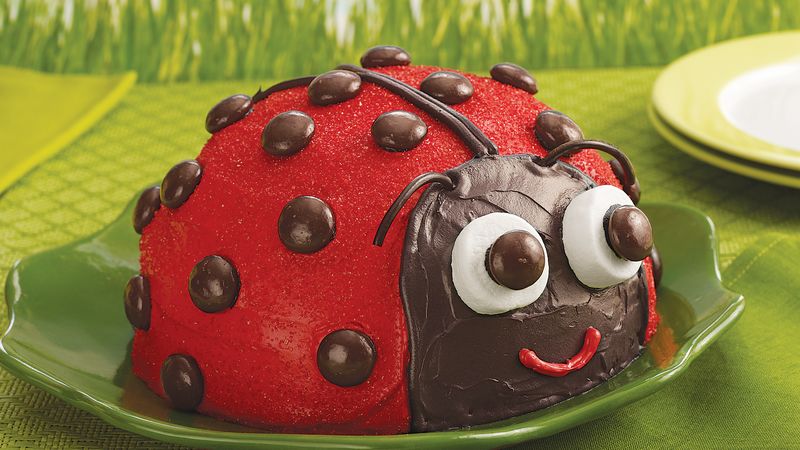 Detail Ladybug Cake Pan Nomer 46