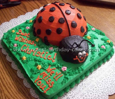 Detail Ladybug Cake Pan Nomer 56