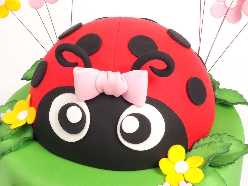 Detail Ladybug Cake Pan Nomer 7