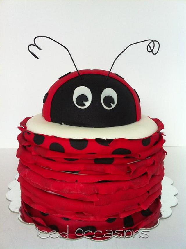 Detail Ladybug Cakes For 1st Birthdays Nomer 11