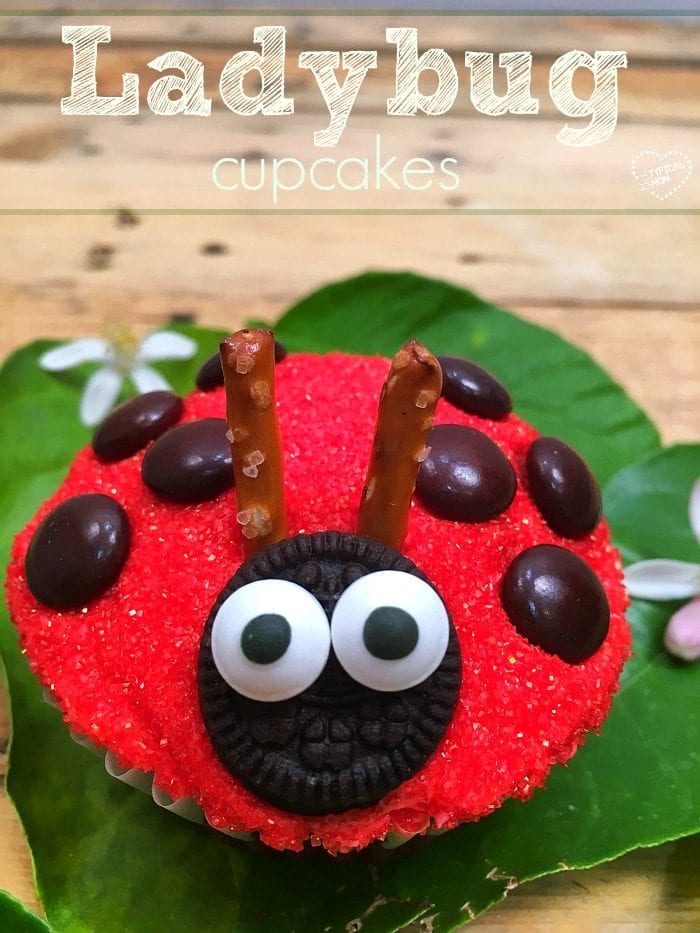 Detail Ladybug Cakes For 1st Birthdays Nomer 28